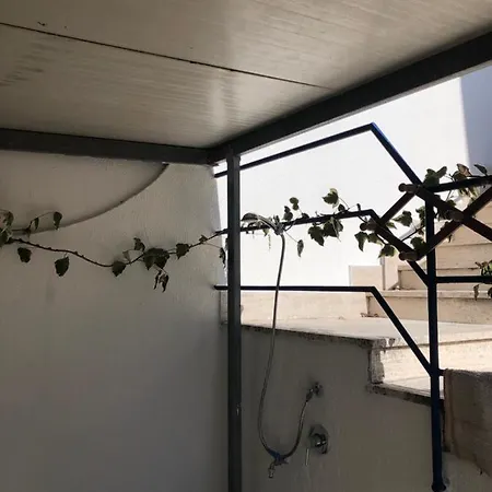 Il Girasole